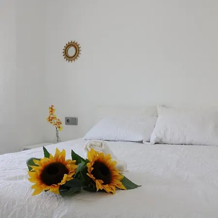 Duplex Avenida Apartment