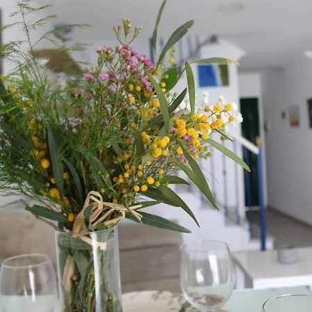 Duplex Avenida