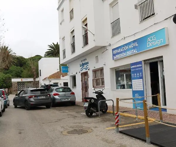 Duplex Avenida